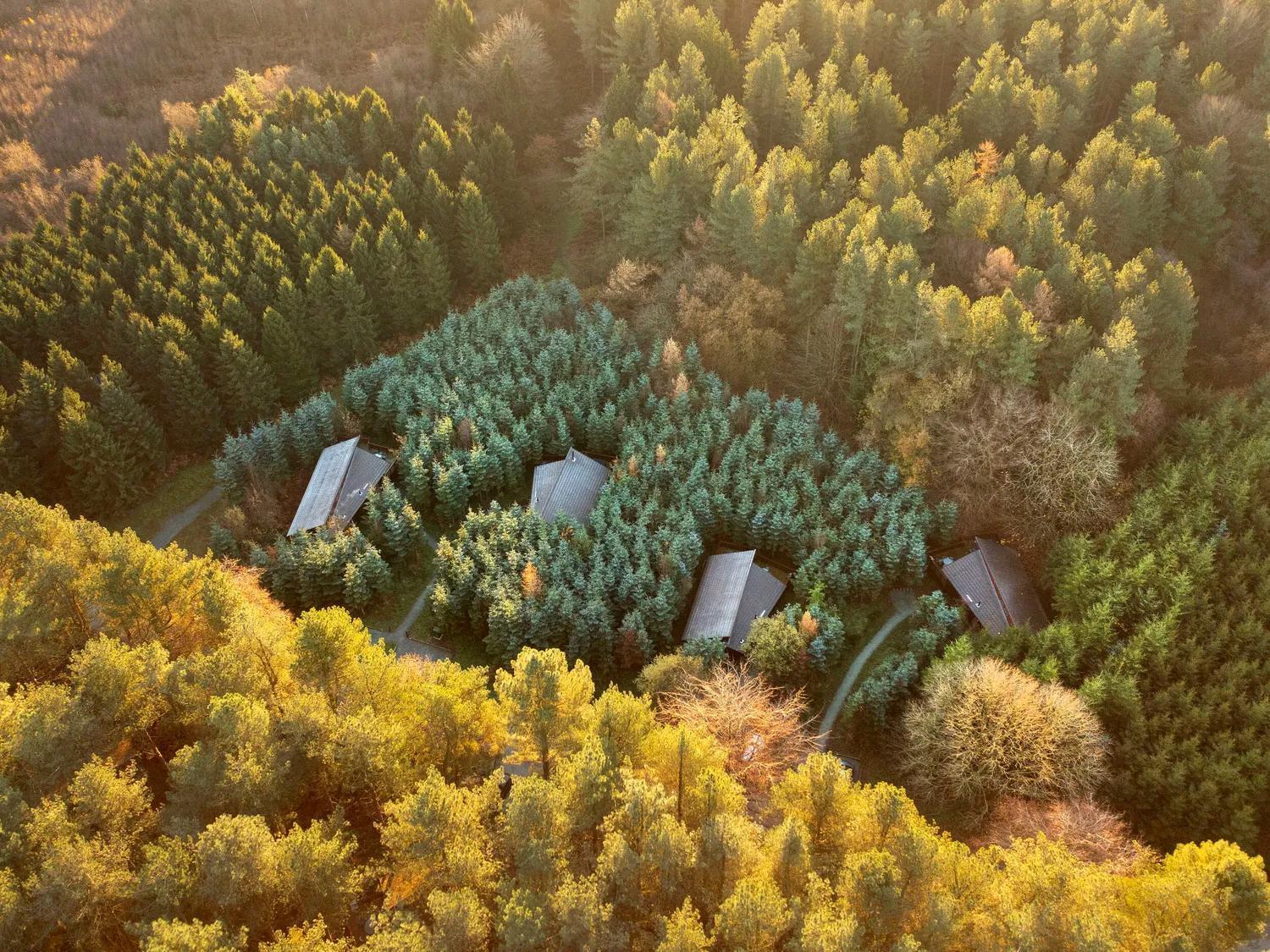 Delamere Forest Cabins - Forest Holidays Mouldsworth エクステリア 写真