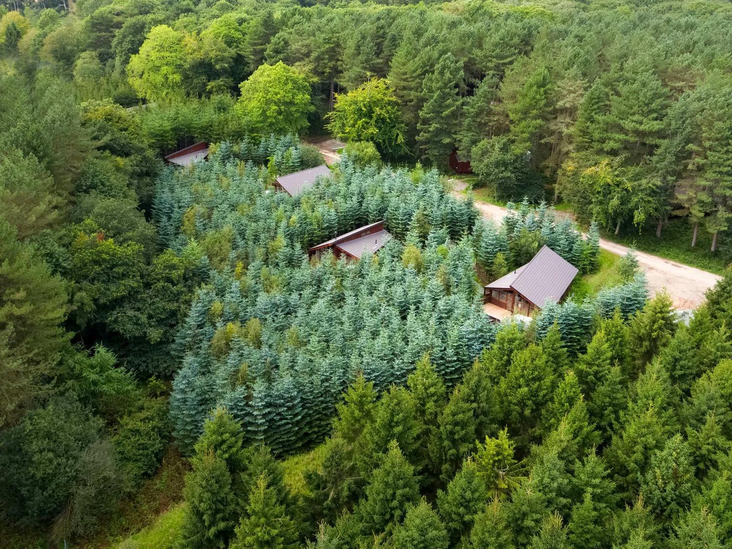 Delamere Forest Cabins - Forest Holidays Mouldsworth エクステリア 写真