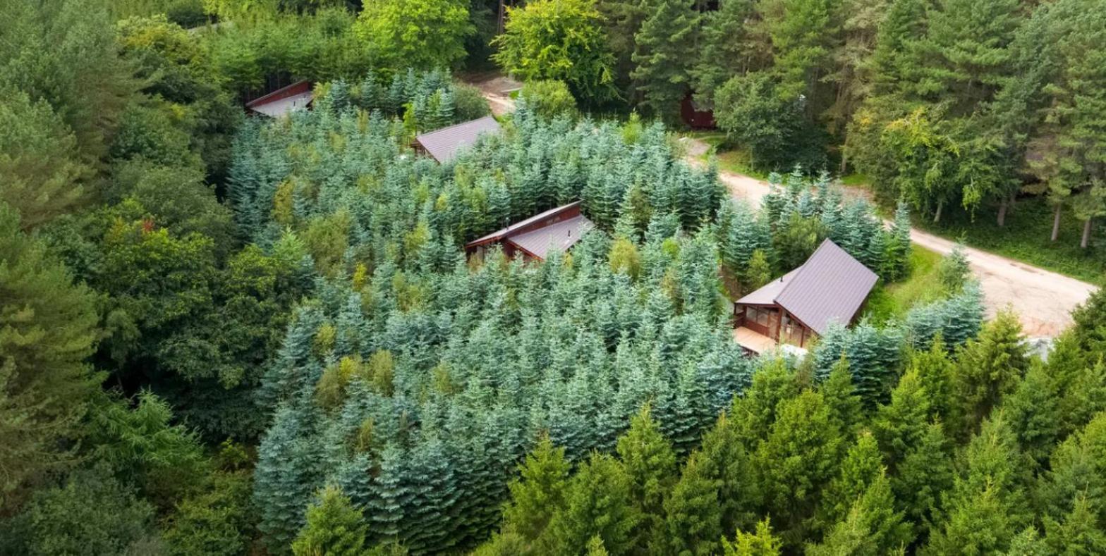Delamere Forest Cabins - Forest Holidays Mouldsworth エクステリア 写真